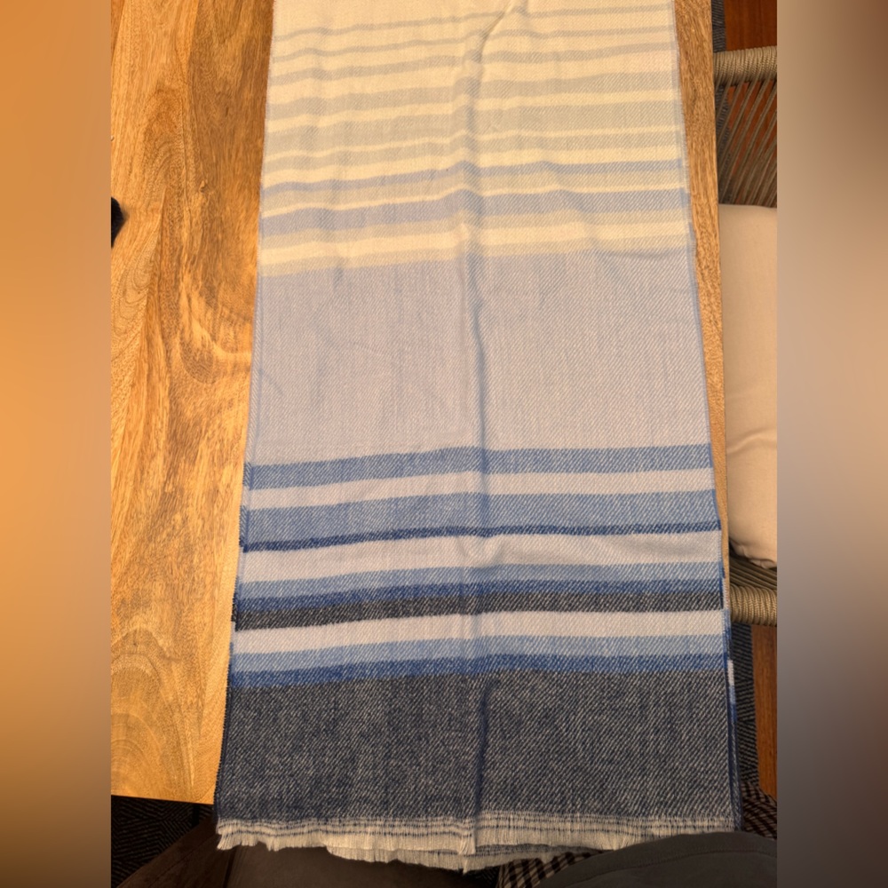 Lands' End Blue and White Scarf